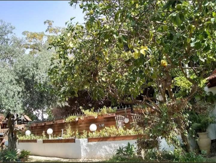 Czarina Cabin הבקתה הקיסרית והדירה הקיסרית Czarina Apartment Caesarea Bagian luar foto
